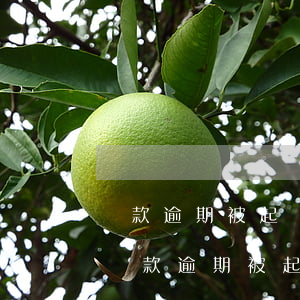 貸款逾期被起訴法院會(huì)通知(銀行貸款逾期被起訴多久開庭)