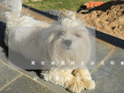 貸款逾期被起訴法院會通知(銀行貸款逾期被起訴多久開庭)