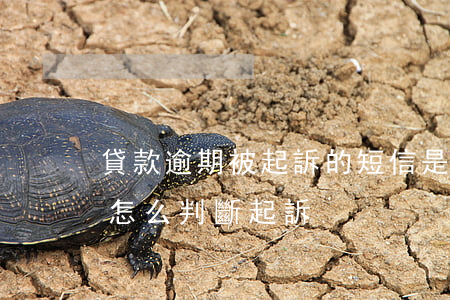 貸款逾期被起訴的短信是什么樣的（短信逾期怎么判斷起訴）