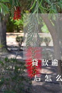 貸款逾期被起訴的程序(貸款逾期被起訴立案后怎么解決)