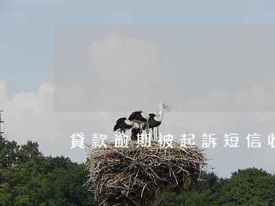 貸款逾期被起訴短信(收到短信說貸款被起訴)
