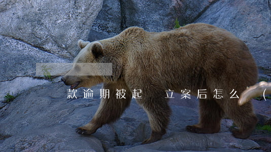 貸款逾期被起訴立案后怎么協(xié)商