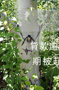 貸款逾期被起訴立案后會多還錢嗎-貸款逾期被起訴立案后會多還錢嗎知乎