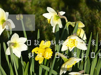 貸款逾期被起訴立案后會被拘留嘛-貸款逾期被起訴立案后會被拘留嘛