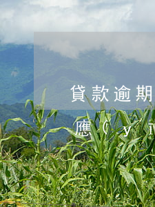 貸款逾期被起訴答辯狀(貸款逾期被起訴如何應(yīng)訴)