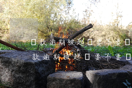 貸款逾期被起訴要不要應(yīng)訴（貸款逾期被起訴要不要應(yīng)訴）