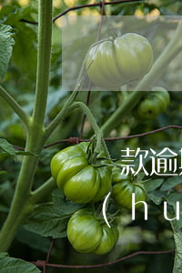 貸款逾期被起訴要多久還清(逾期還款多久會(huì)被起訴)