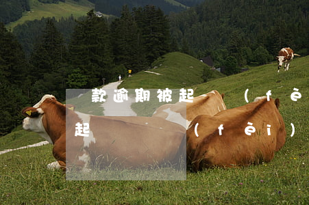 貸款逾期被起訴費(fèi)用(貸款逾期被起訴訴訟費(fèi)要多少)