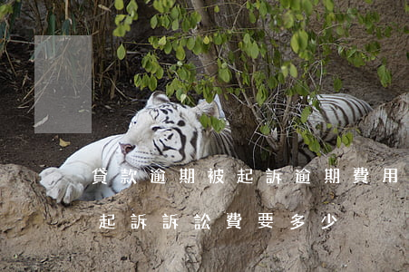 貸款逾期被起訴逾期費用要還嗎(貸款逾期被起訴訴訟費要多少)