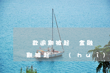 貸款逾期被起訴金融詐騙(向金融公司貸款逾期被起訴會(huì)不會(huì)坐牢)