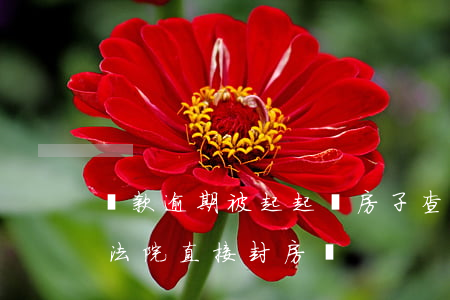 貸款逾期被起起訴房子查封 房貸逾期被起訴法院直接封房嗎