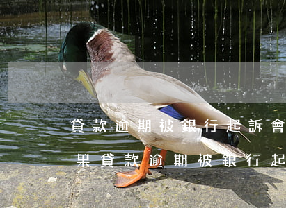 貸款逾期被銀行起訴會有什么結(jié)果（貸款逾期被銀行起訴會怎么樣）
