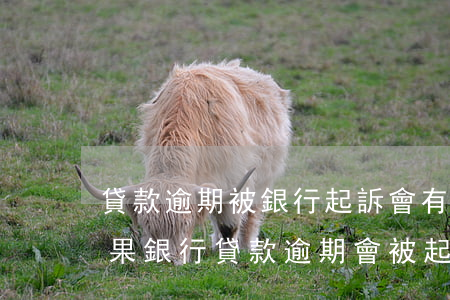 貸款逾期被銀行起訴會有什么結(jié)果(銀行貸款逾期會被起訴嗎)