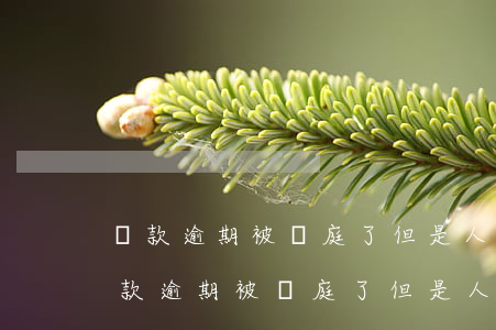 貸款逾期被開庭了但是人在外地怎么辦-貸款逾期被開庭了但是人在外地怎么辦理