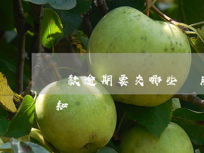 貸款逾期要交哪些費用(關于貸款逾期的法律知識)