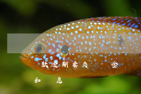 貸款逾期要交滯納金嗎(銀行貸款逾期滯納金和罰息)