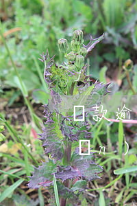 貸款逾期要交逾期費嗎(貸款逾期會產(chǎn)生什么費用)