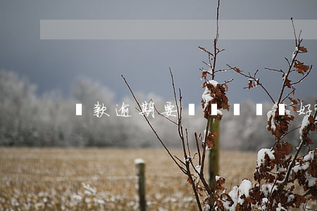 貸款逾期要幾長時間辦好(貸款過幾天算逾期)