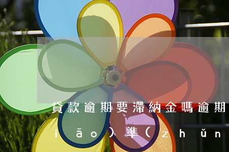 貸款逾期要滯納金嗎(逾期付款滯納金標(biāo)準(zhǔn))