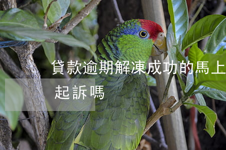 貸款逾期解凍成功的(馬上金融貸款逾期了會起訴嗎?)