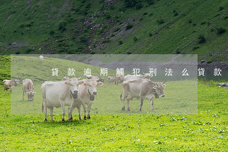 貸款逾期觸犯刑法么(貸款逾期起訴判刑嗎)