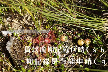 貸款逾期記錄何時(shí)消除(貸款的逾期記錄是否能申請(qǐng)撤銷?)