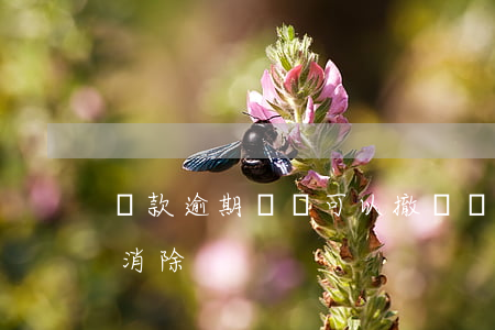 貸款逾期記錄可以撤銷嗎(逾期貸款記錄多久消除)