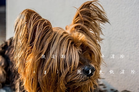 貸款逾期記錄幾年消除(貸款逾期已經(jīng)還款多久能消除記錄)