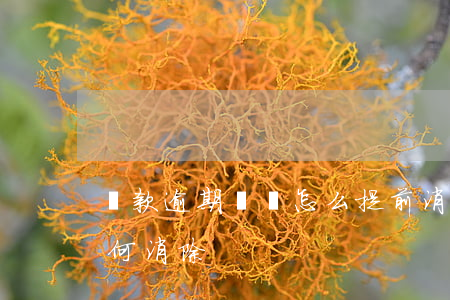 貸款逾期記錄怎么提前消除(貸款逾期記錄如何消除)