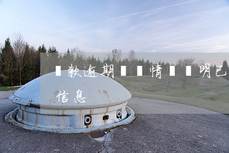 貸款逾期記錄情況說明(已形成借款逾期記錄信息)