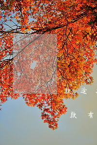 貸款逾期記錄滿2年(兩年外的逾期記錄對于貸款有影響嗎)
