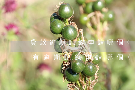 貸款逾期記錄申請哪個(gè)行信用卡-有逾期記錄申請哪個(gè)信用卡