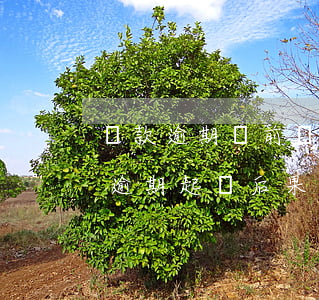 貸款逾期訴前調(diào)查科(銀行貸款逾期起訴后果是什么)