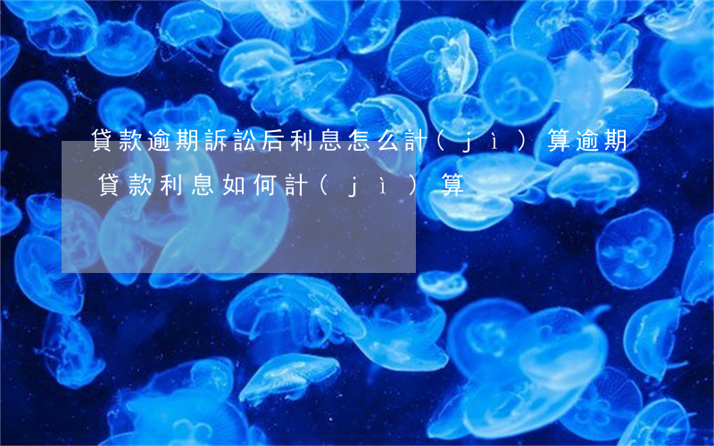 貸款逾期訴訟后利息怎么計(jì)算(逾期貸款利息如何計(jì)算)
