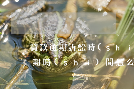 貸款逾期訴訟時(shí)效怎么算(貸款逾期時(shí)間怎么算)