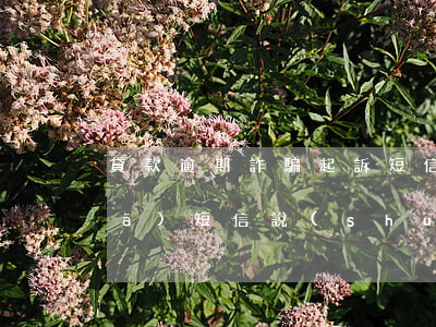 貸款逾期詐騙起訴短信樣板(貸款逾期發(fā)短信說(shuō)詐騙抓捕我)