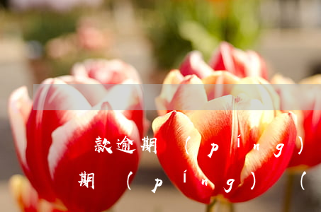 貸款逾期評(píng)級(jí)(貸款逾期評(píng)級(jí)8個(gè)1)