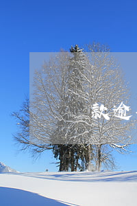 貸款逾期詢問家里人(貸款逾期會給家里人打電話嗎)