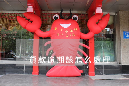 貸款逾期該怎么處理