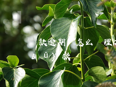 貸款逾期該怎么處理方法(貸款逾期如何補(bǔ)救)