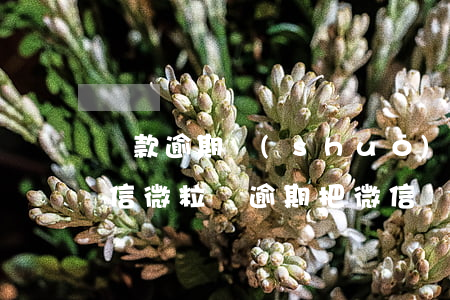 貸款逾期說(shuō)凍結(jié)微信(微粒貸逾期把微信凍結(jié)怎么辦)