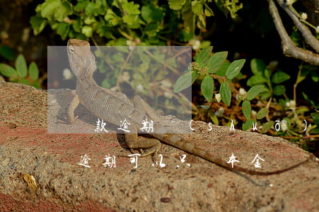 貸款逾期說(shuō)還本金就可以(貸款逾期可以只還本金嗎)