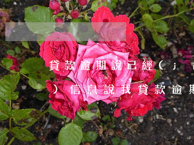 貸款逾期說已經(jīng)備案(發(fā)信息說我貸款逾期立案)