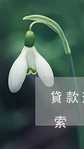 貸款逾期說要我的線索(貸款逾期說要我的線索)