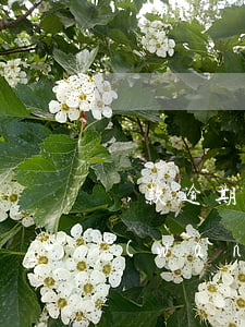貸款逾期說要搞家里人(家人接到電話說我網(wǎng)貸逾期)
