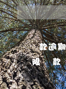 貸款逾期調(diào)形態(tài)期限(貸款狀態(tài)部分逾期是什么意思)