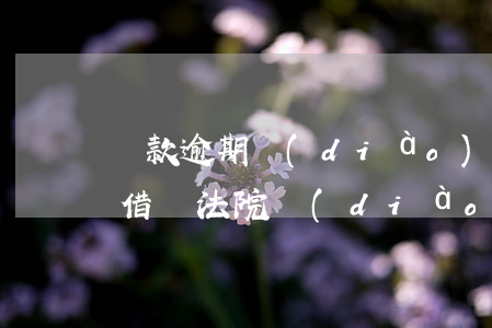 貸款逾期調(diào)解后無力償還(民間借貸法院調(diào)解后實(shí)在無能力償還怎么辦)