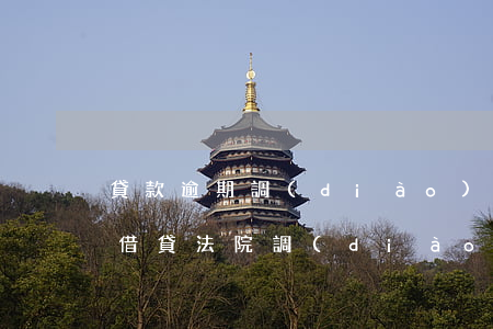 貸款逾期調(diào)解后無力償還(民間借貸法院調(diào)解后實在無能力償還怎么辦)