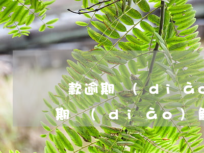 貸款逾期調(diào)解員加微信(貸款逾期調(diào)解員加微信)