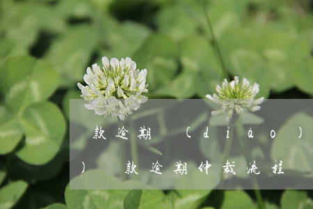 貸款逾期調(diào)解委員會(huì) 貸款逾期仲裁流程